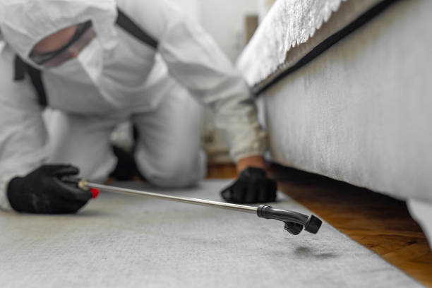 Professional Bed Bug Control technician working in Knoxville, IA